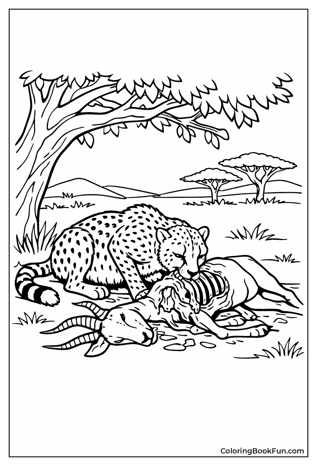 Cheetah Eating Fresh Prey