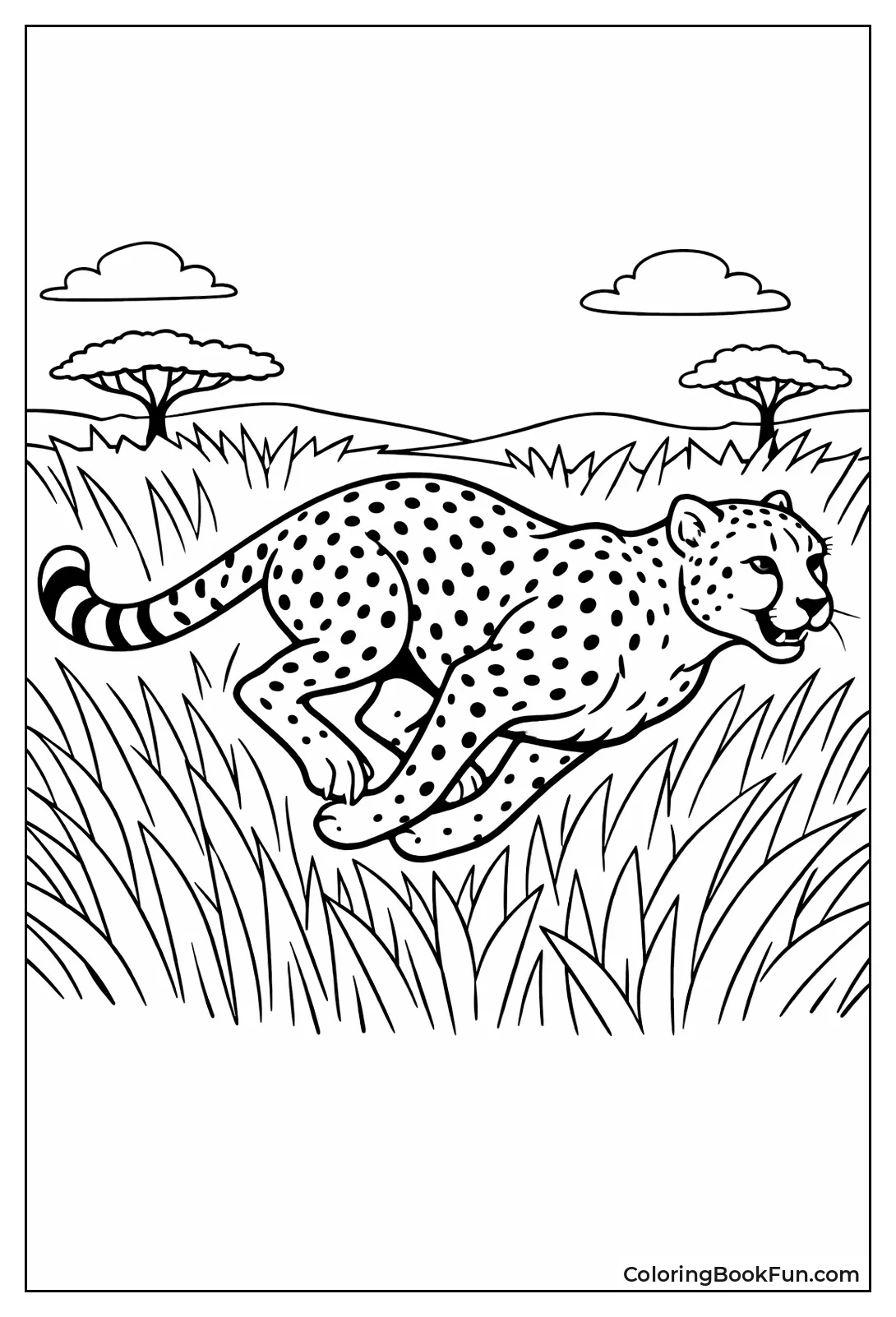 Cheetah in Dry Grass