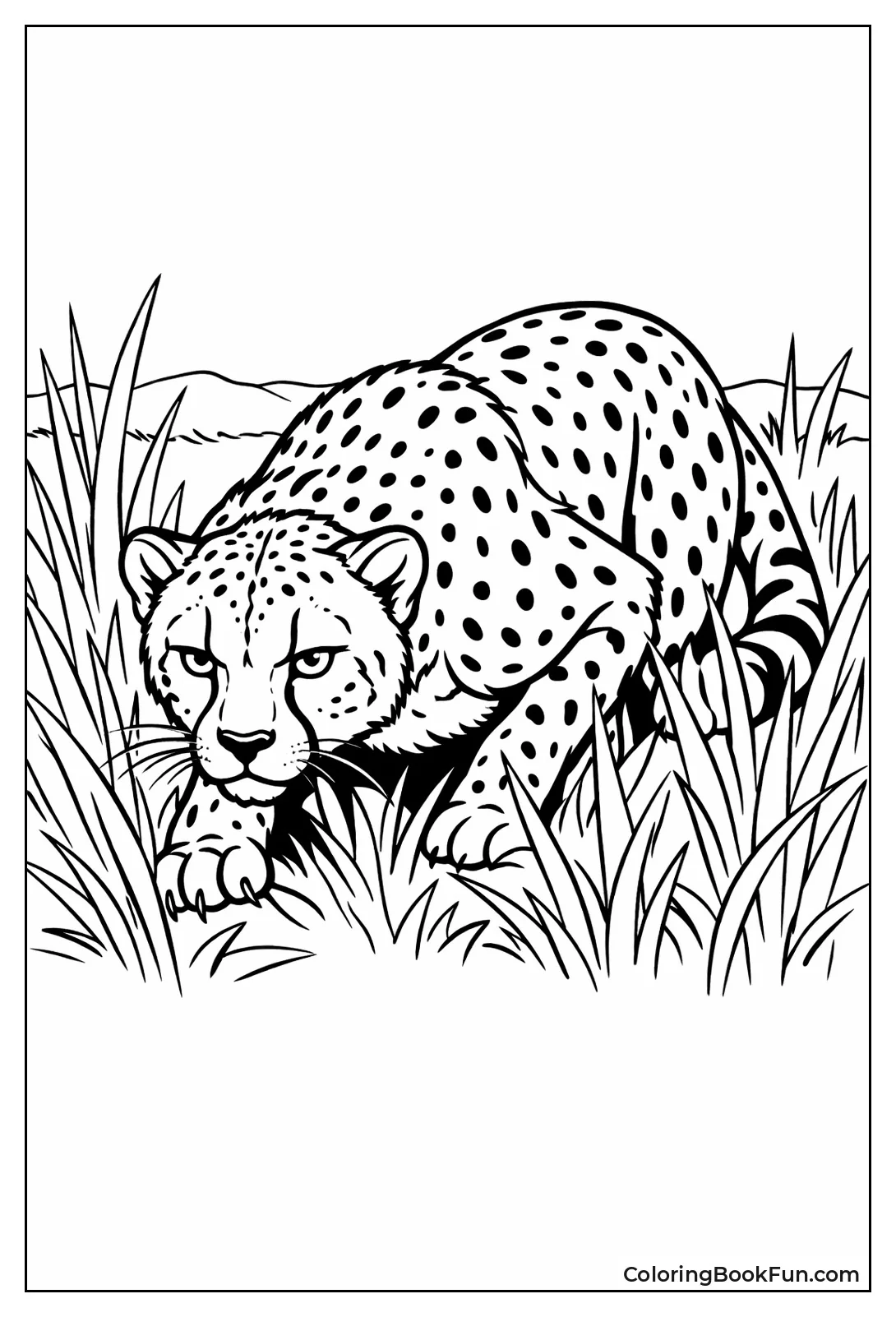 Cheetah Crouching in Grass
