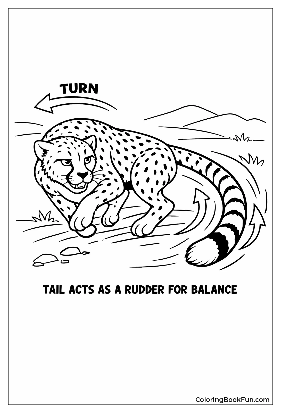 Cheetah Tail as Rudder