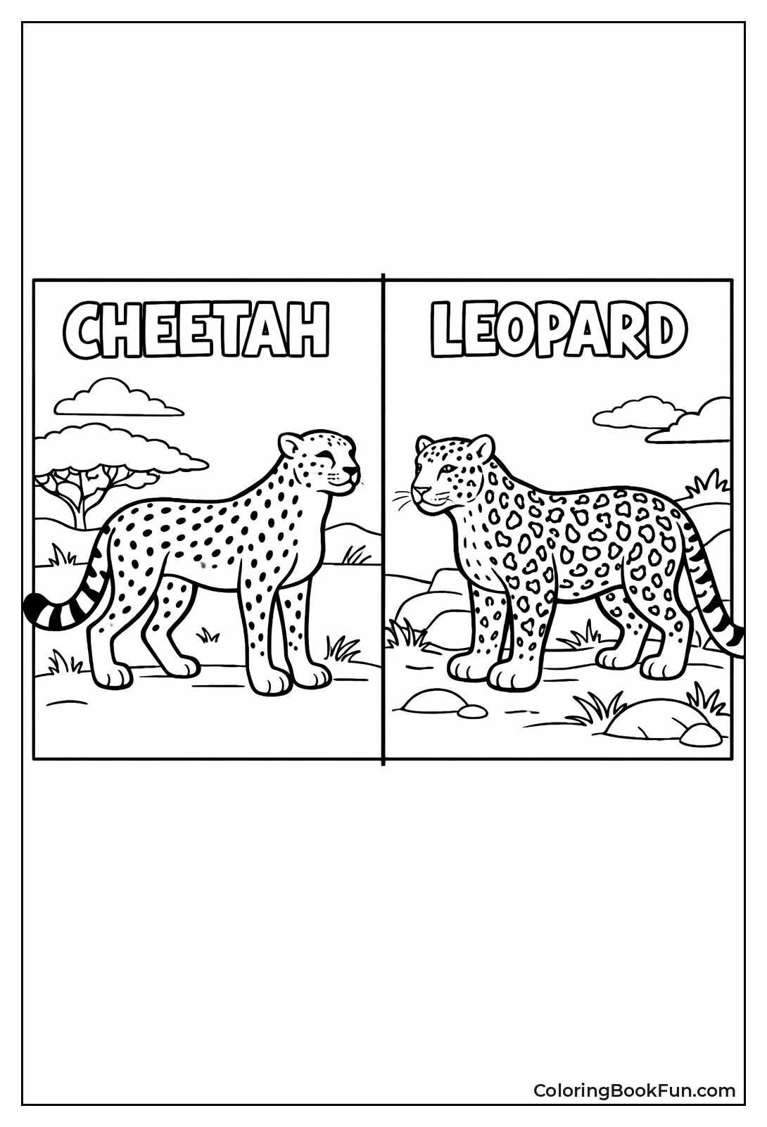 Cheetah and Leopard Spots
