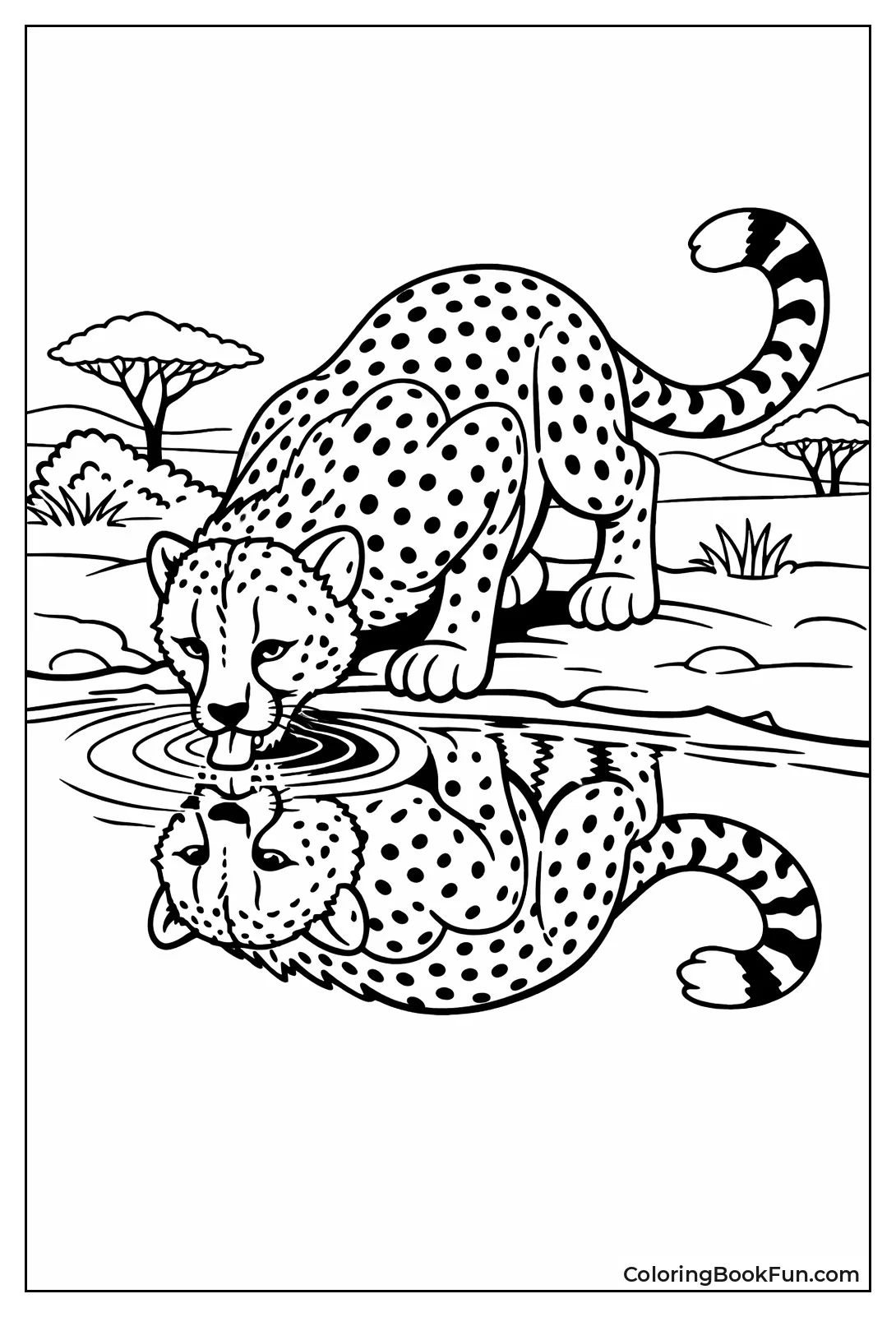 Cheetah Drinking at Waterhole