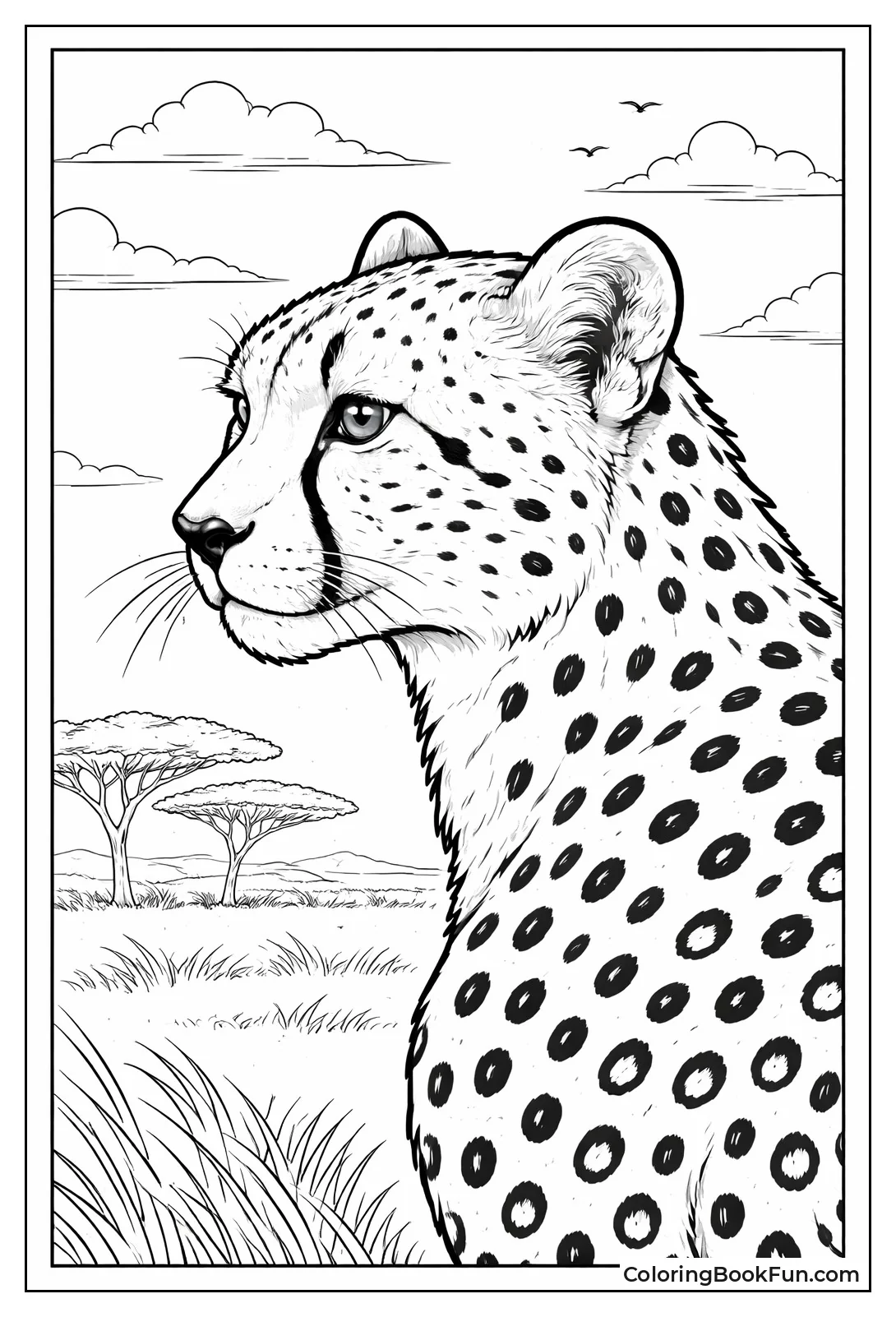 Cheetah Whiskers Profile