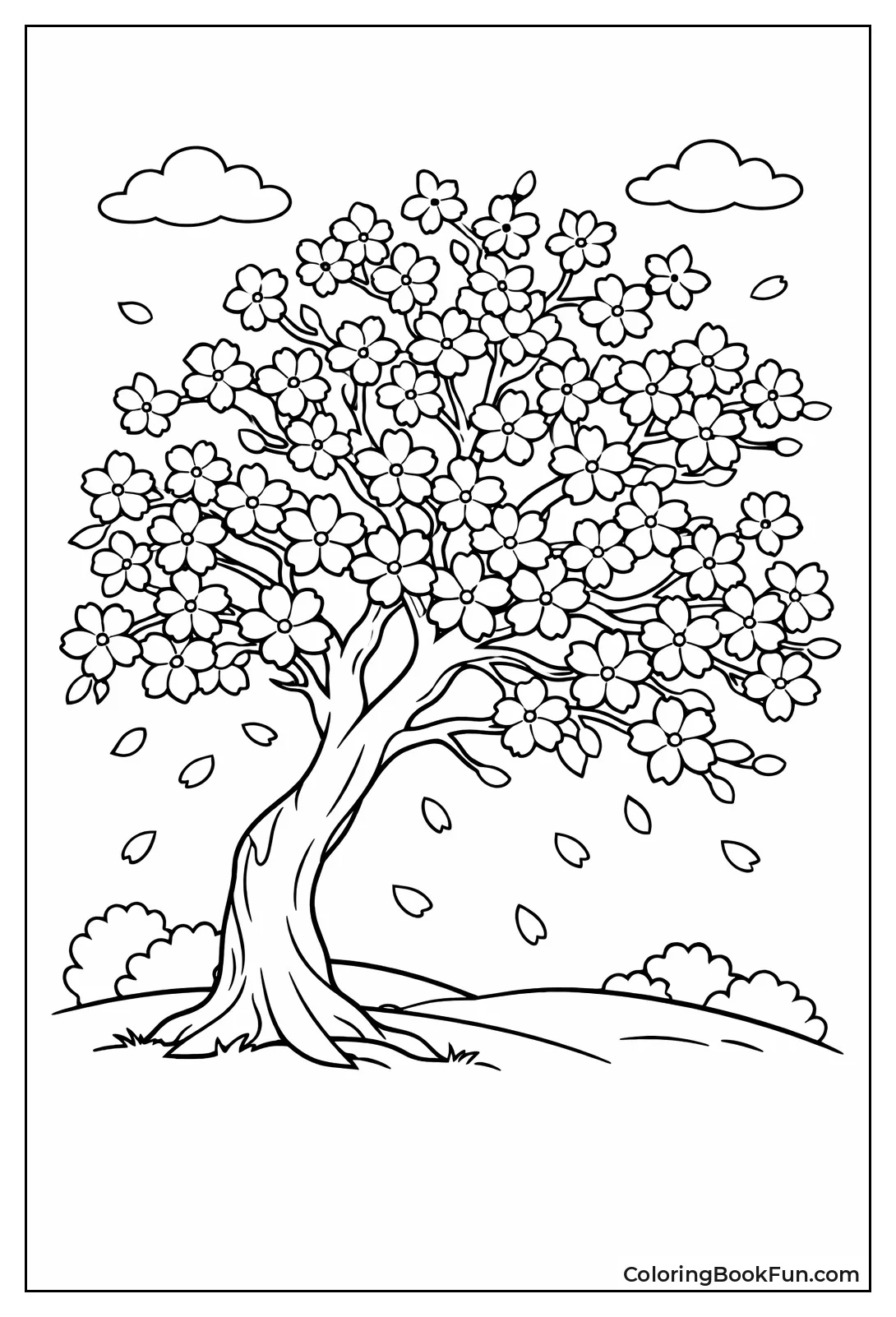 Cherry Blossom Tree Blooms