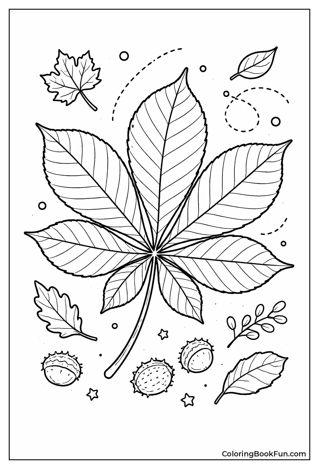Detailed Chestnut Leaf Shape