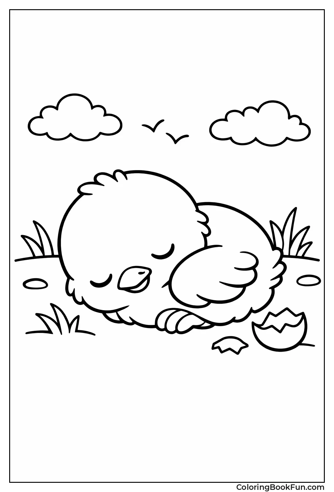 Curled Up Sleeping Chick