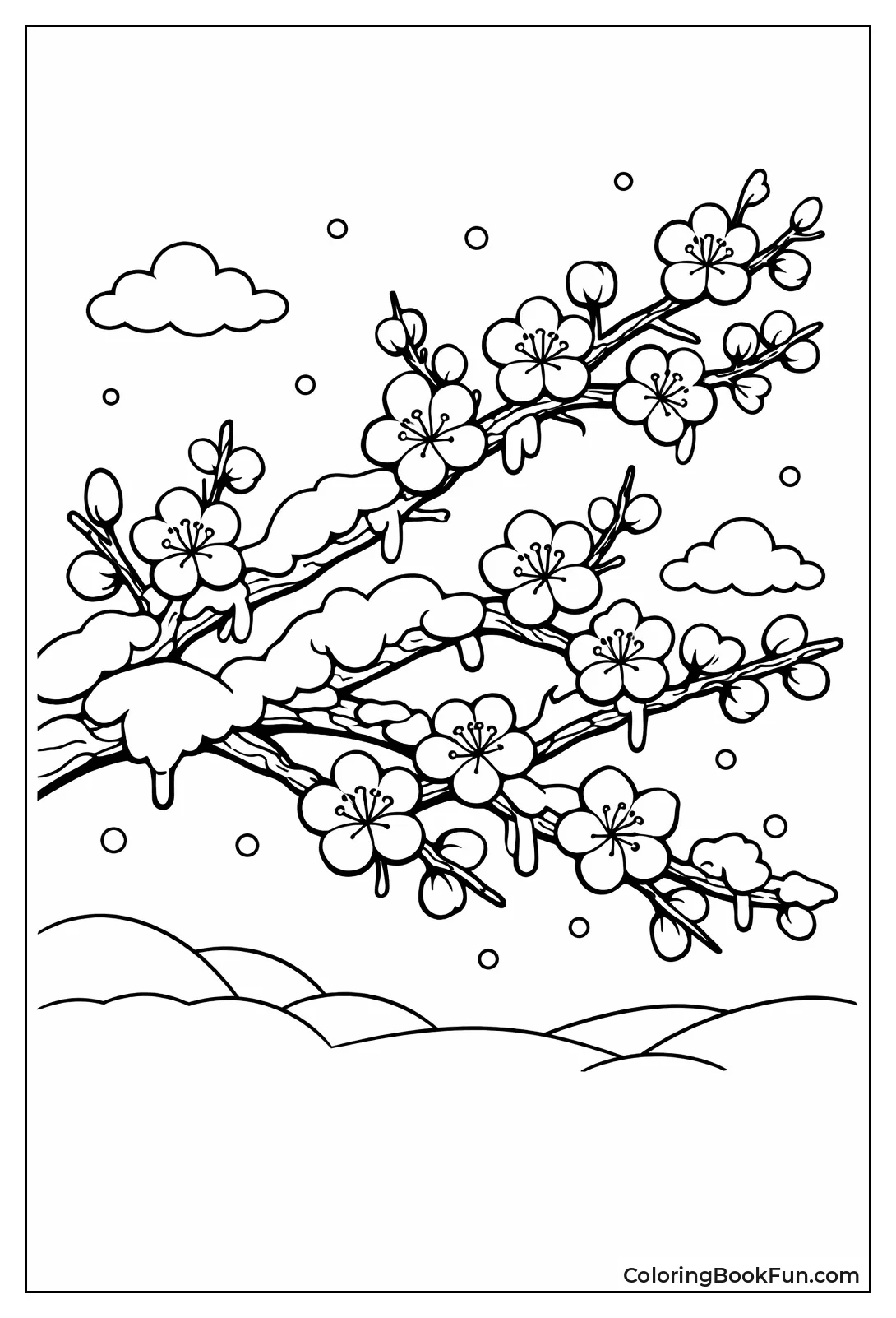 Plum Blossoms Bloom in Snow