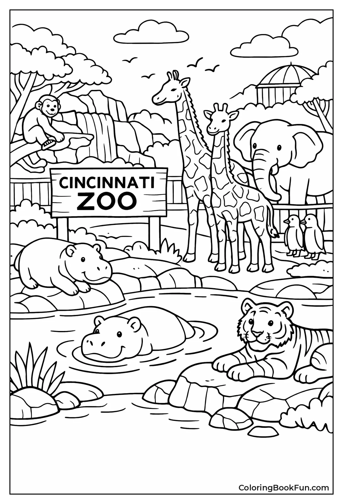 Cincinnati Zoo Hippos Giraffes