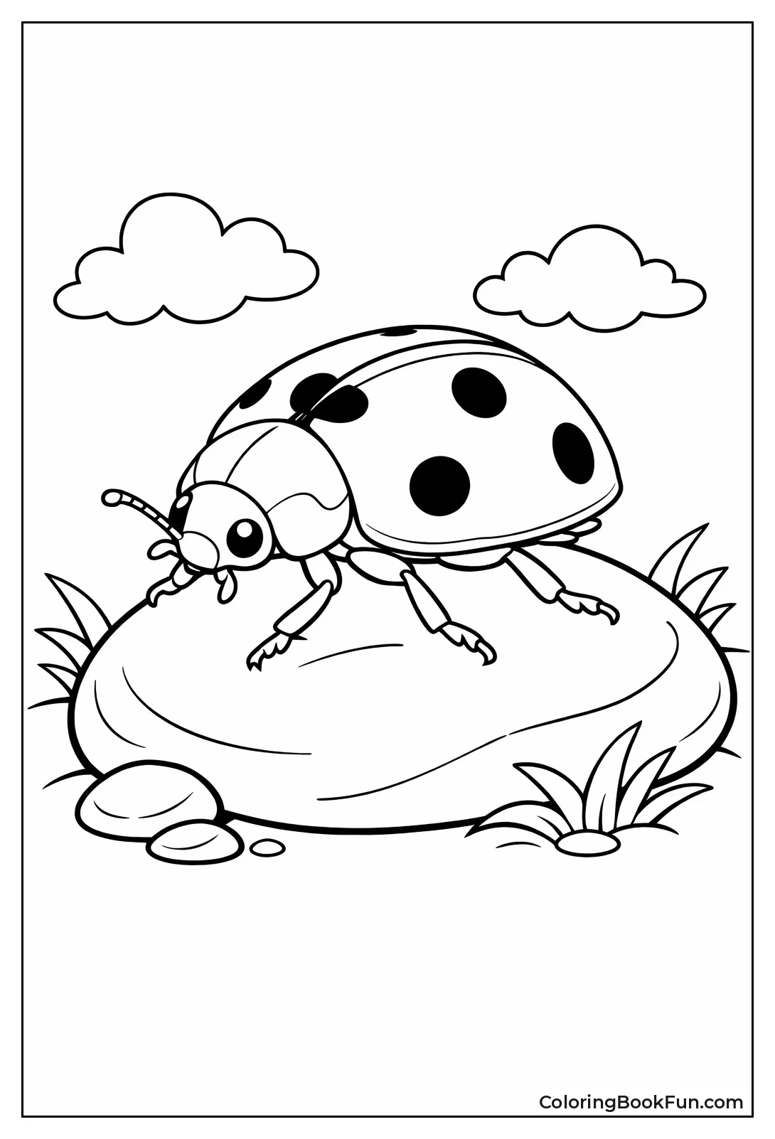 Classic Seven-Spot Ladybug