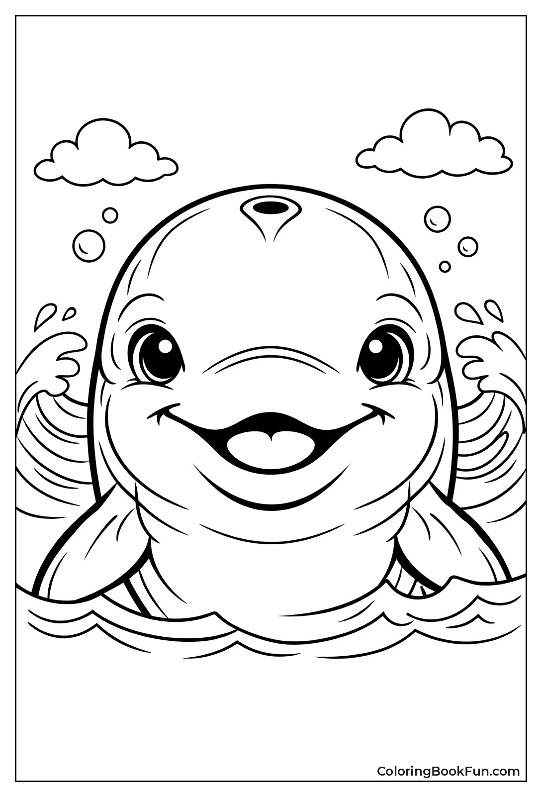 Close-up Dolphin Face Portrait