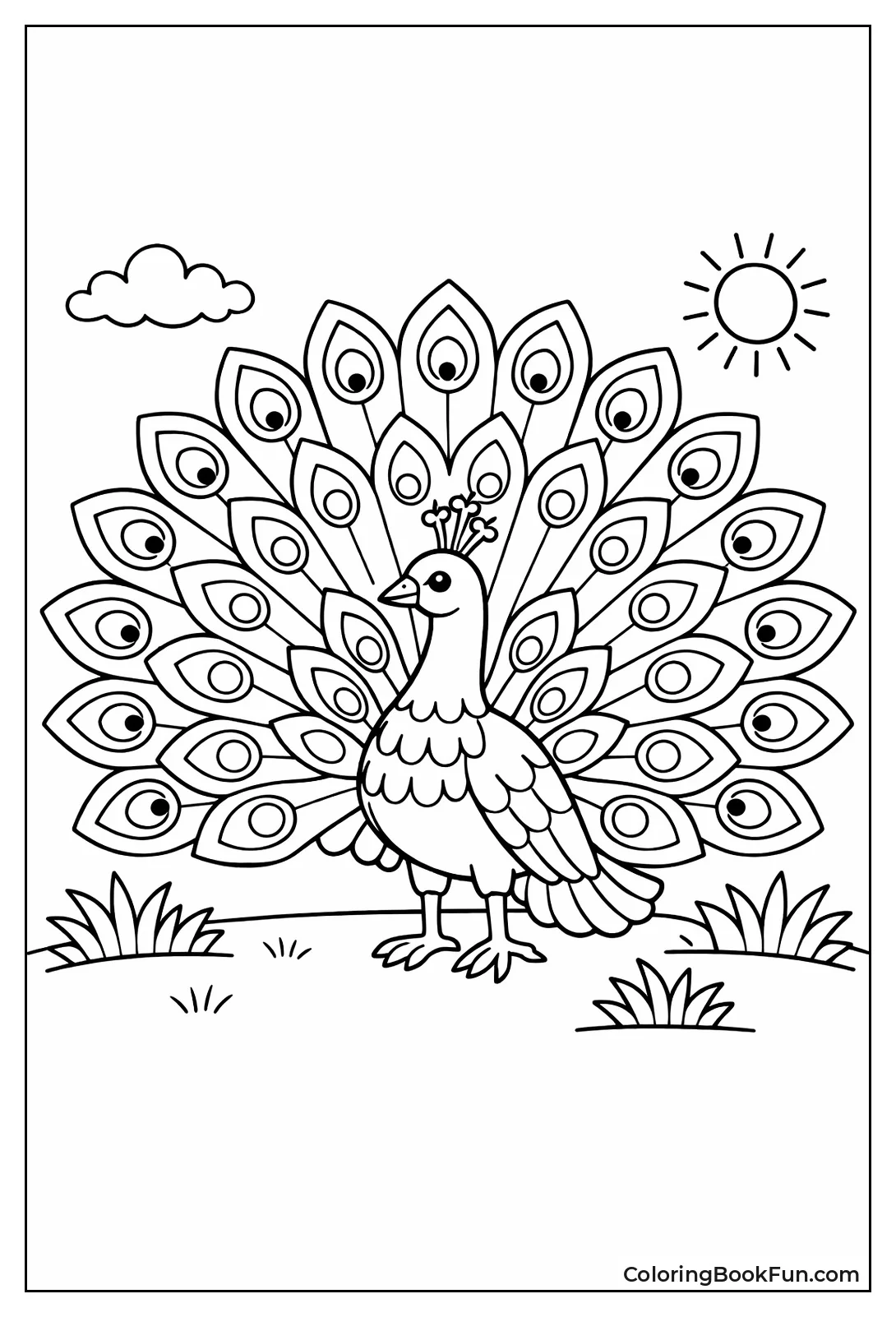 Peacock with Patterned Feathers