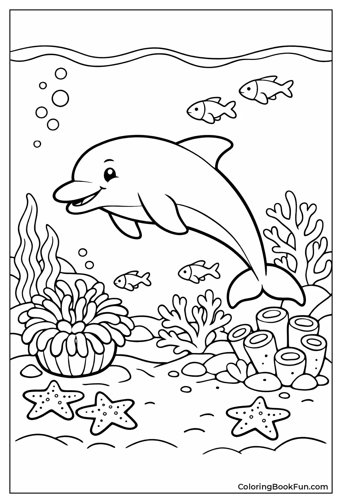 Dolphin in Coral Reef