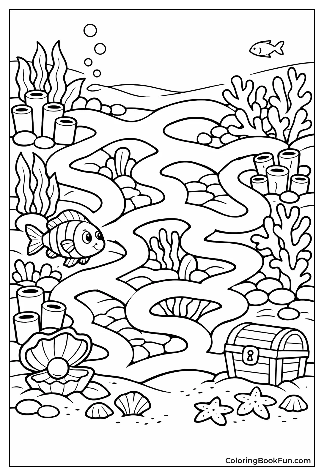 Secret Reef Fish Trail