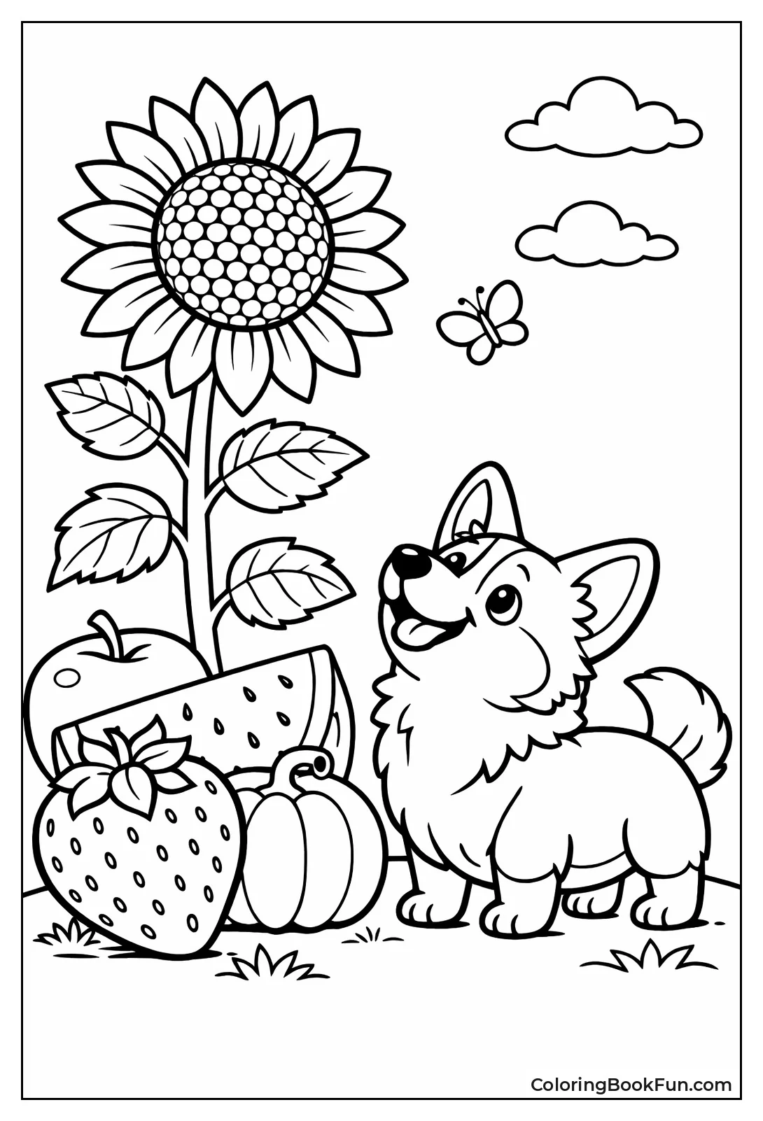 Corgi Sunflower Comparison
