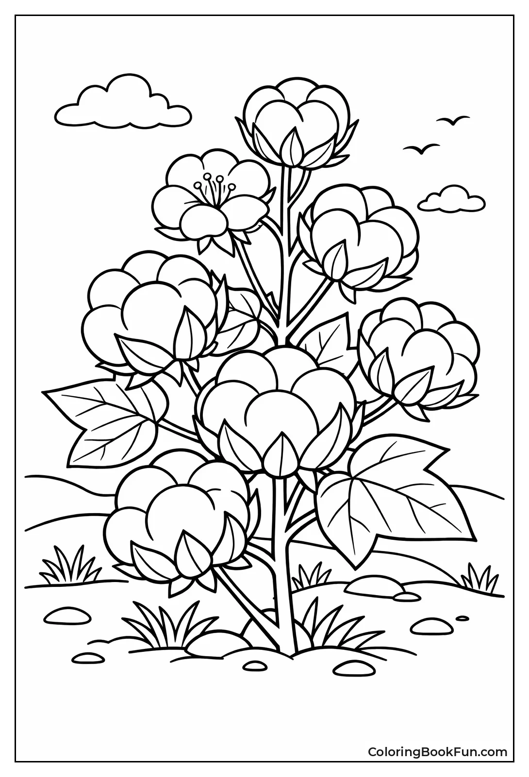 Cotton Bolls on Flowering Plant