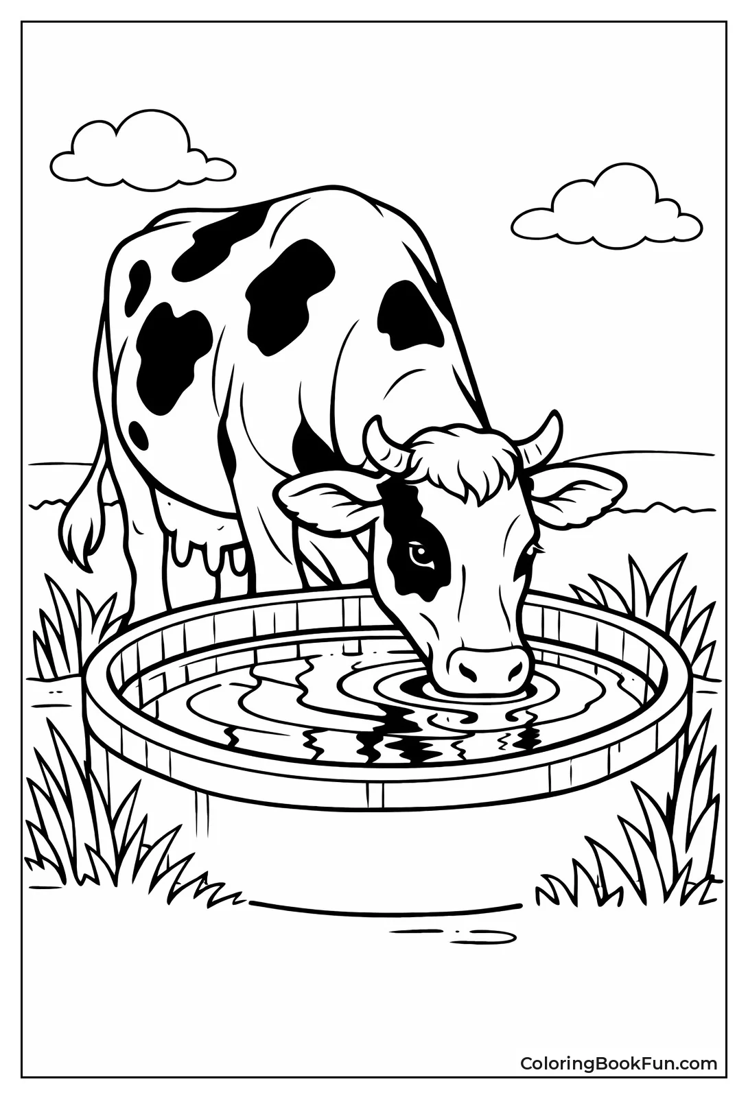 Cow Drinking from Trough