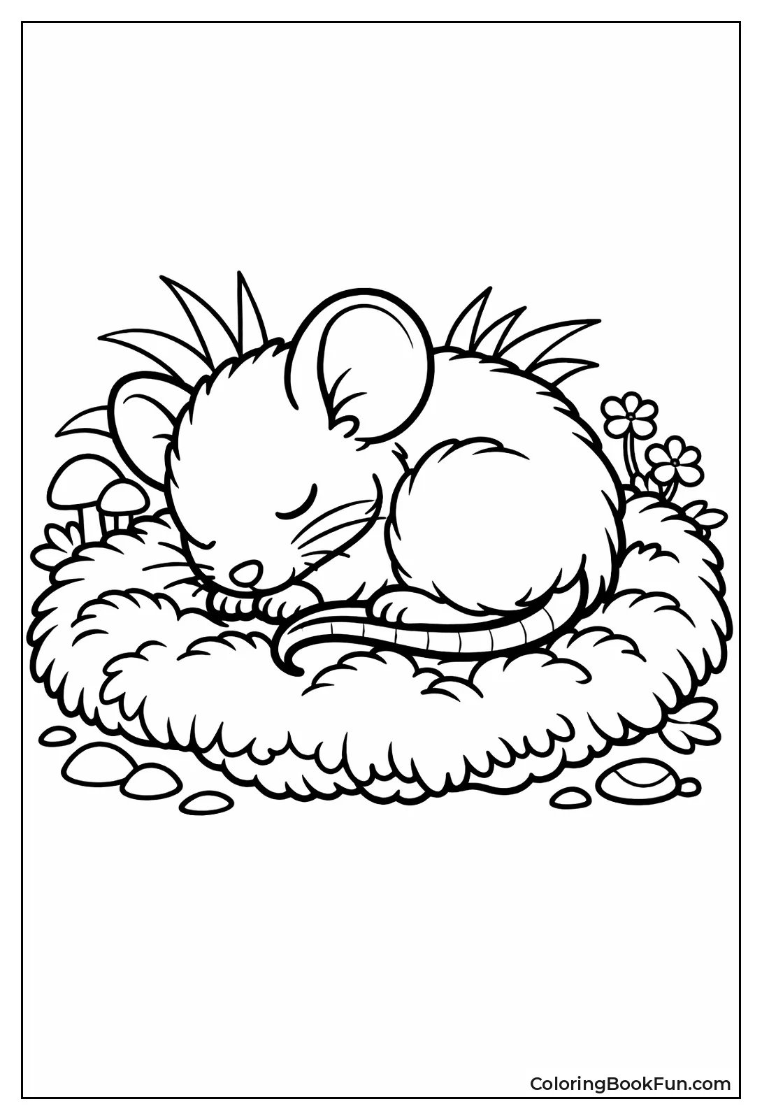 Curled Mouse Sleeping on Moss