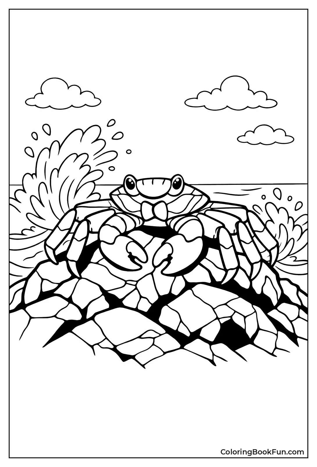 Sally Lightfoot on Rocks