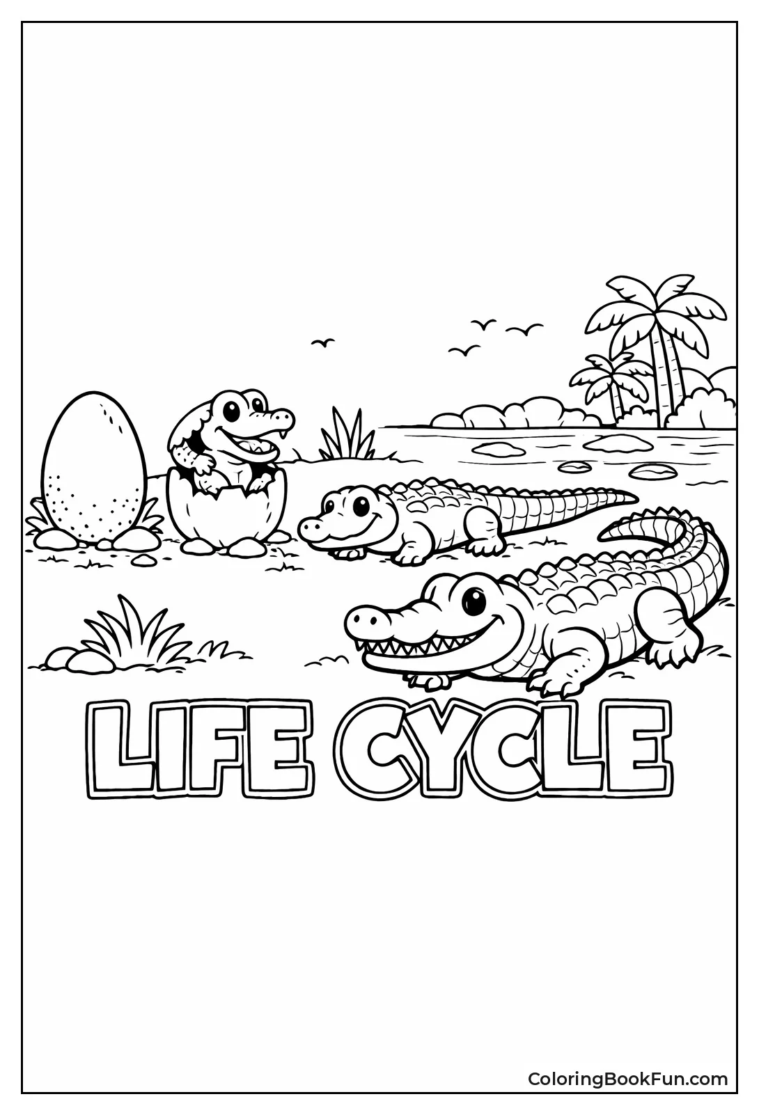 Crocodile Life Cycle Stages