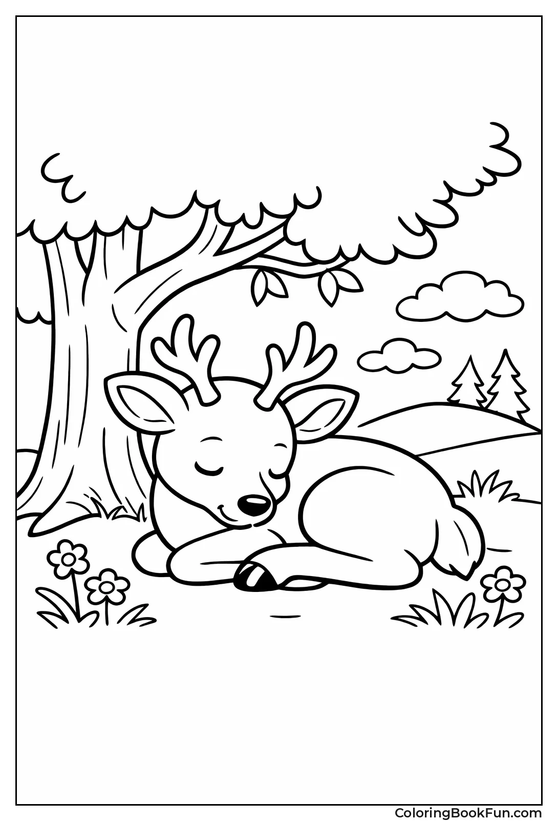 Deer Sleeps Curled under Tree