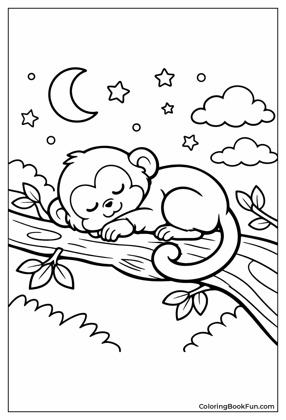 Curled Monkey Sleeps Branch