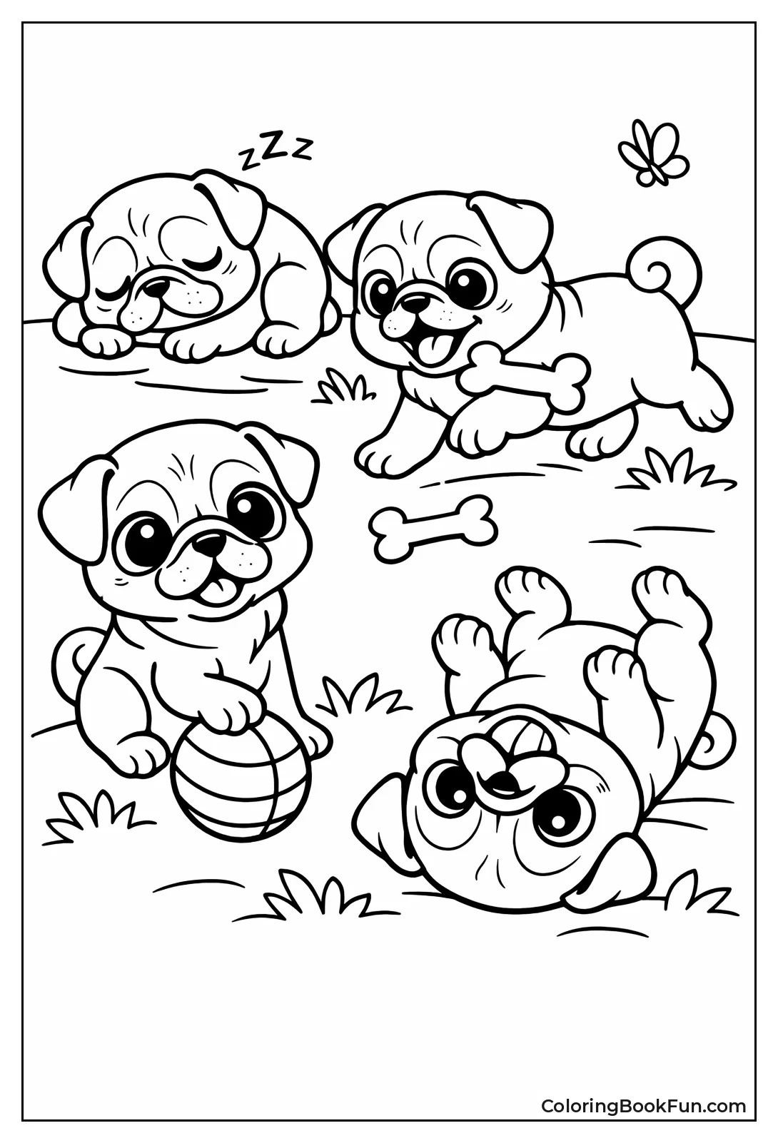 Cute Baby Pugs Play Happily