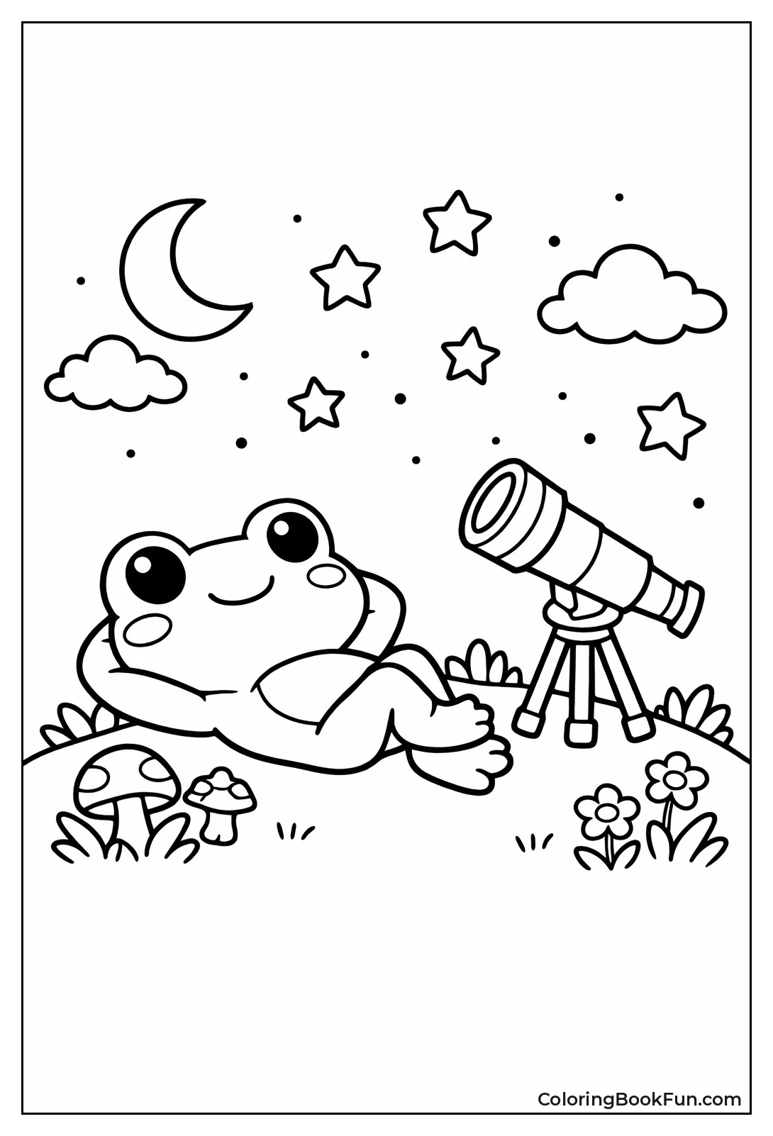 Frog Gazing at Stars