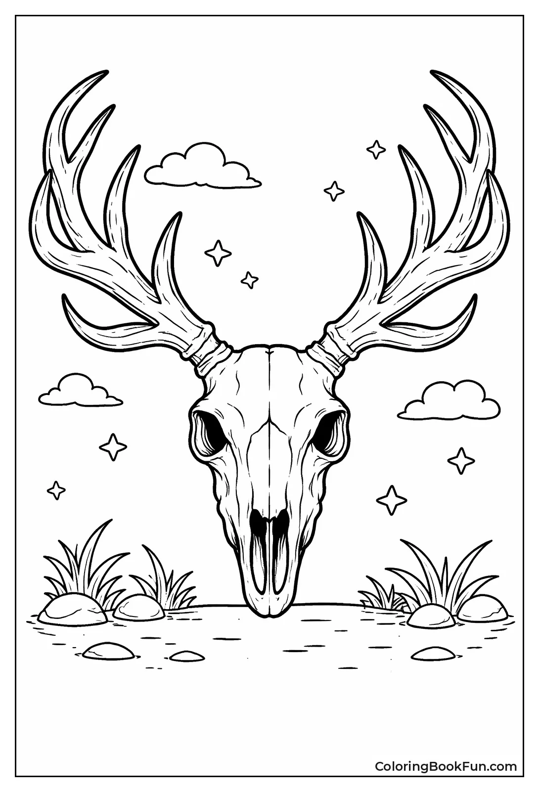 Deer Skull with Curved Antlers