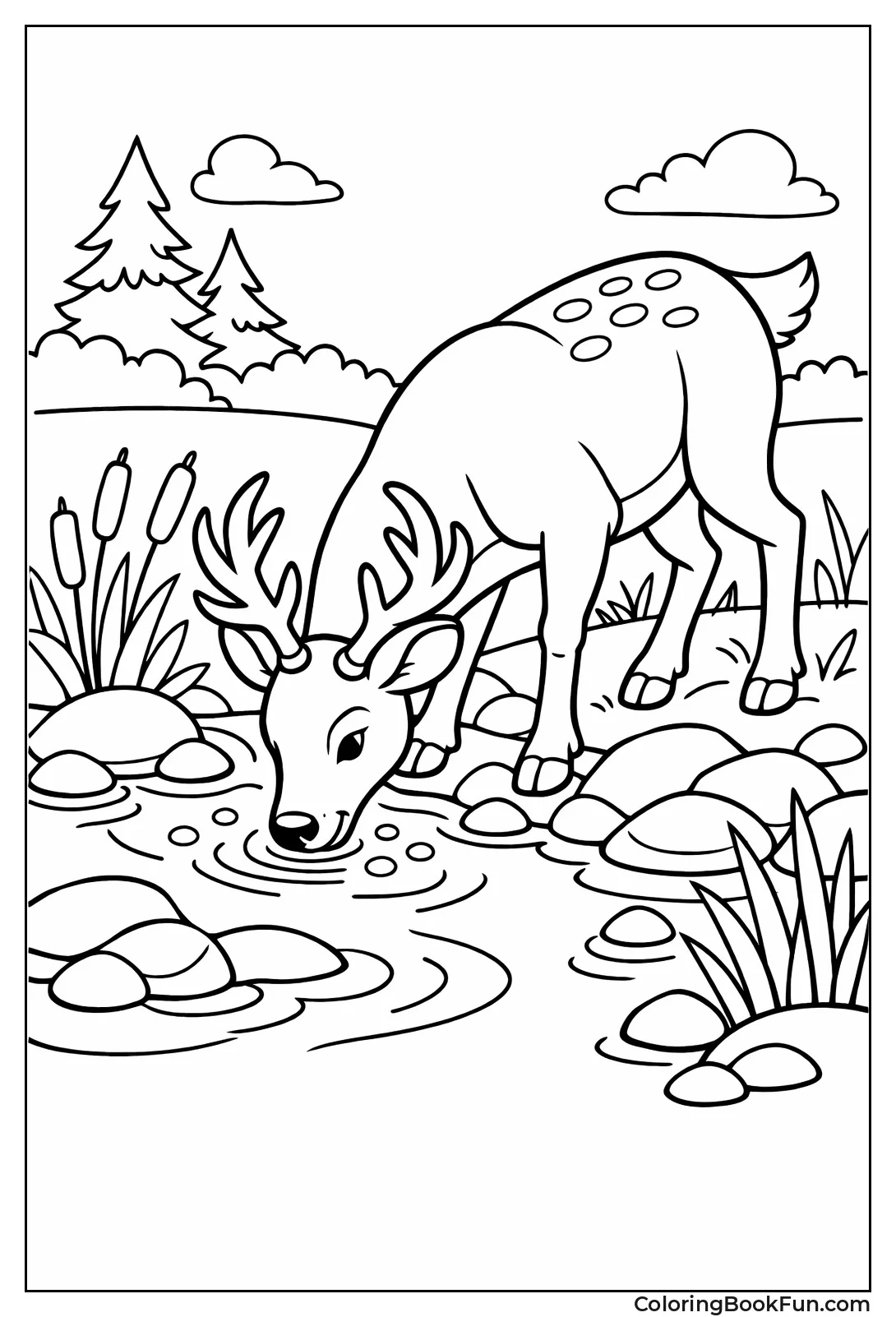 Deer Drinks from Creek