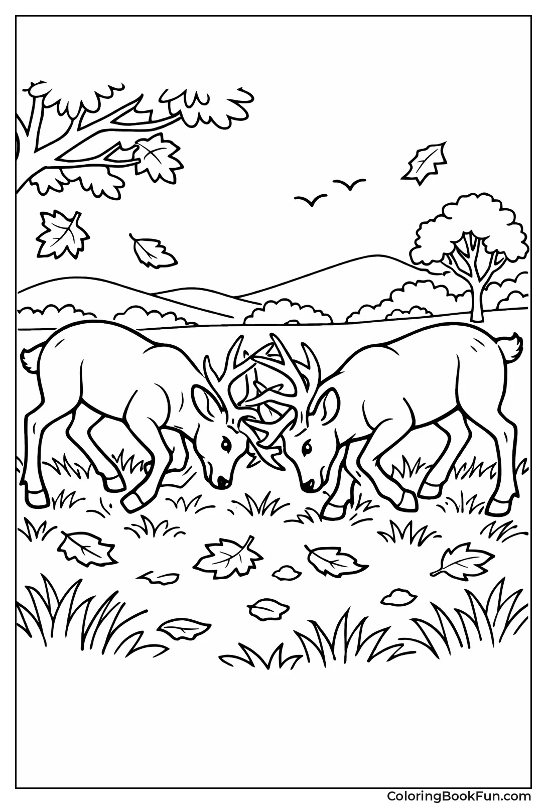 Bucks Lock Antlers Sparring