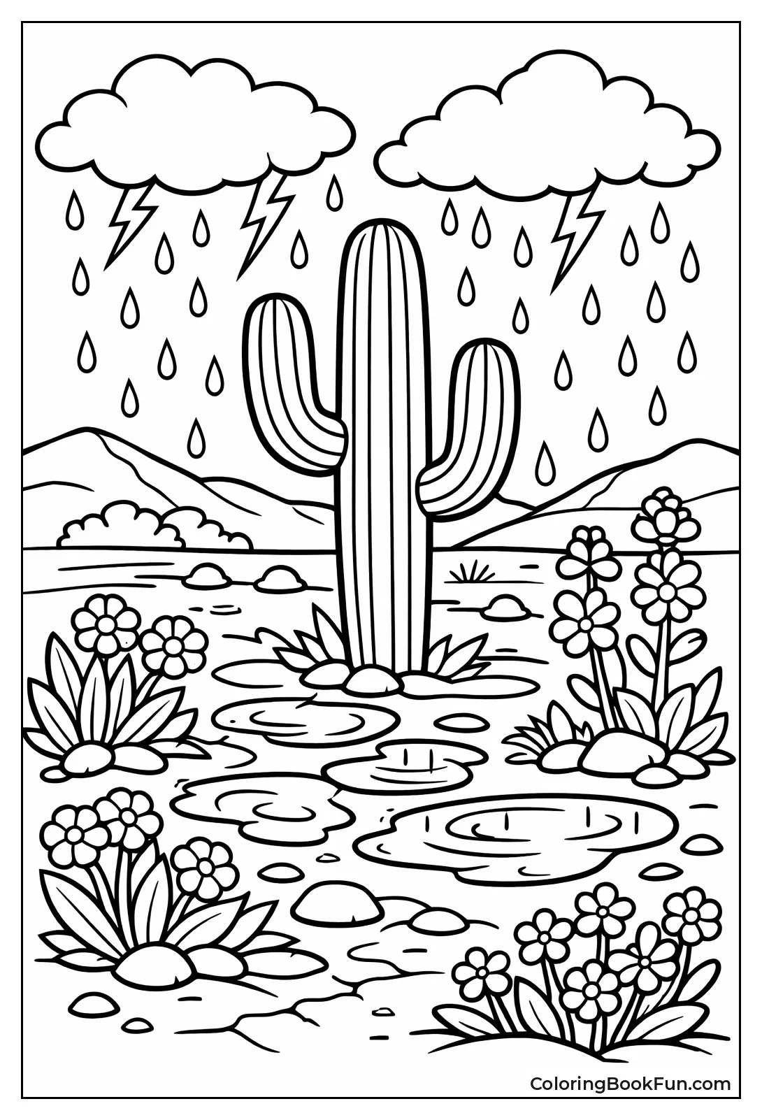 Desert Cactus Loves Rain