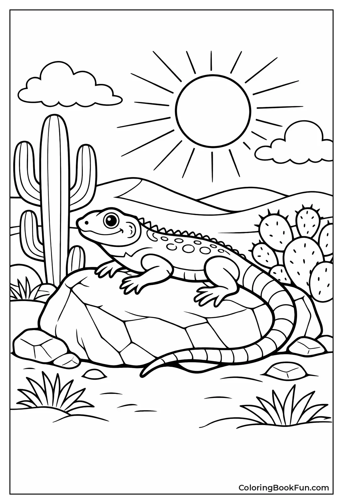 Lizard Basks on Desert Rock