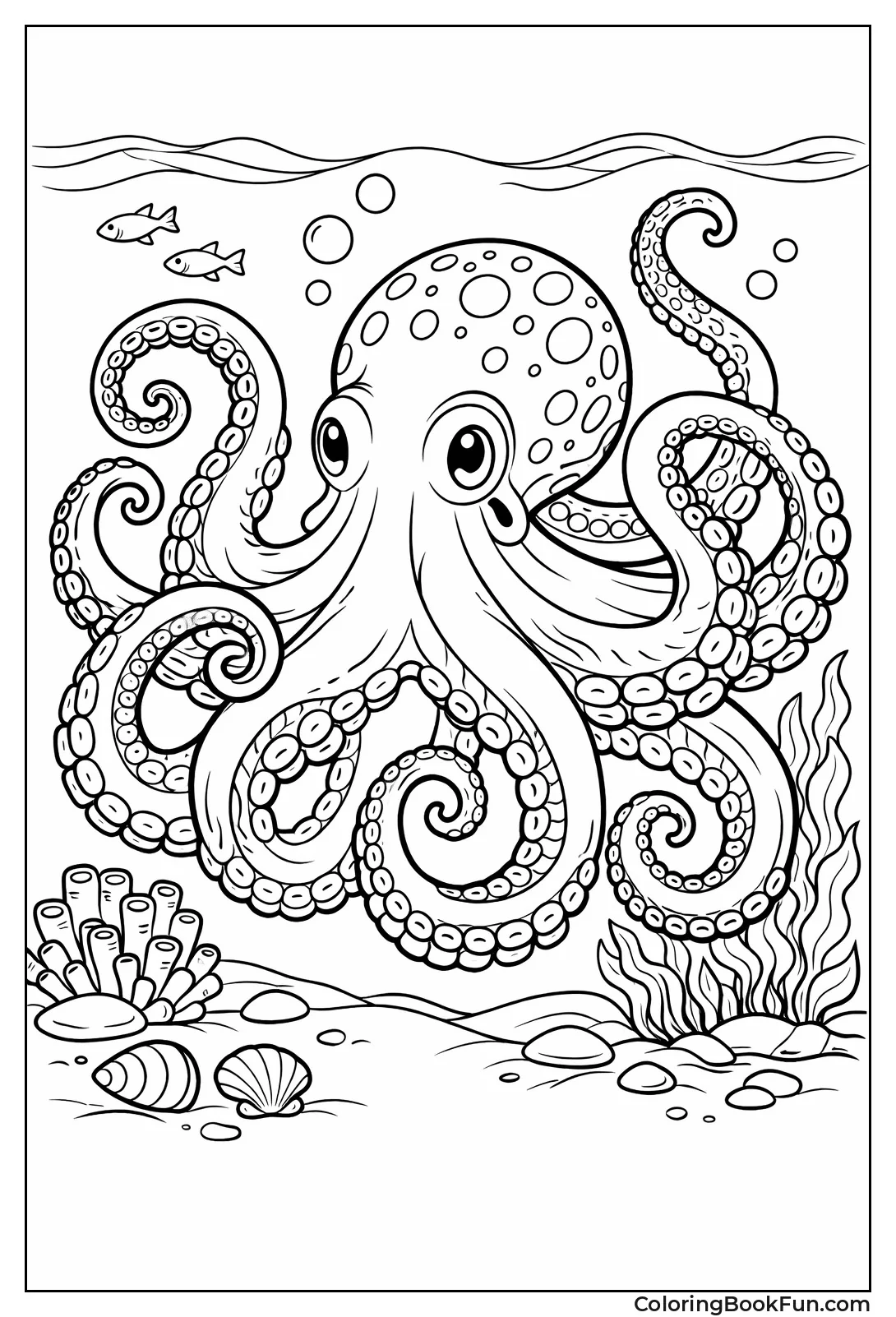 Detailed Adult Octopus