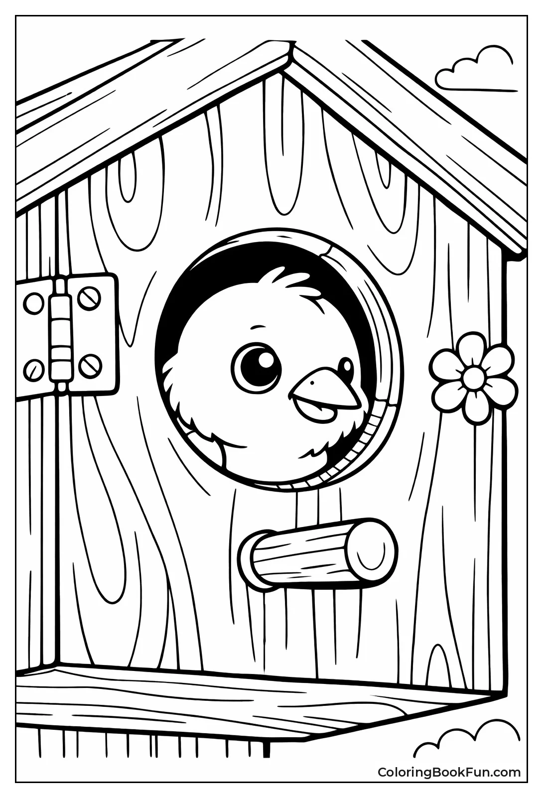 Close-Up Birdhouse Bird Peeks