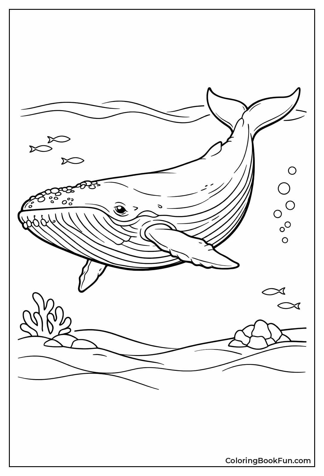 Detailed Blue Whale Skin