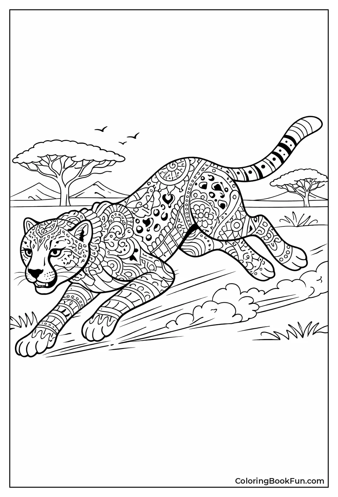 Detailed Cheetah Patterns