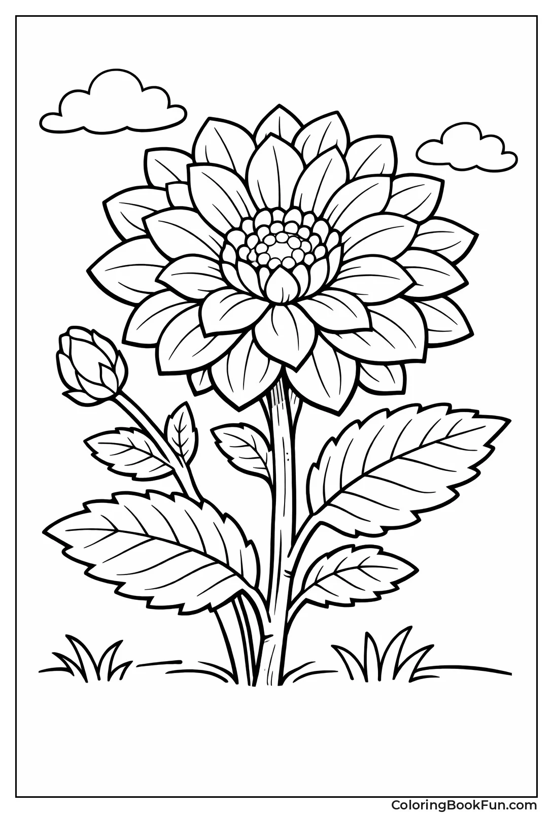 Detailed Layered Flower Petals