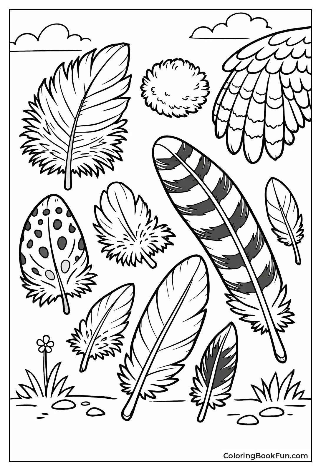 Close-up Owl Feathers