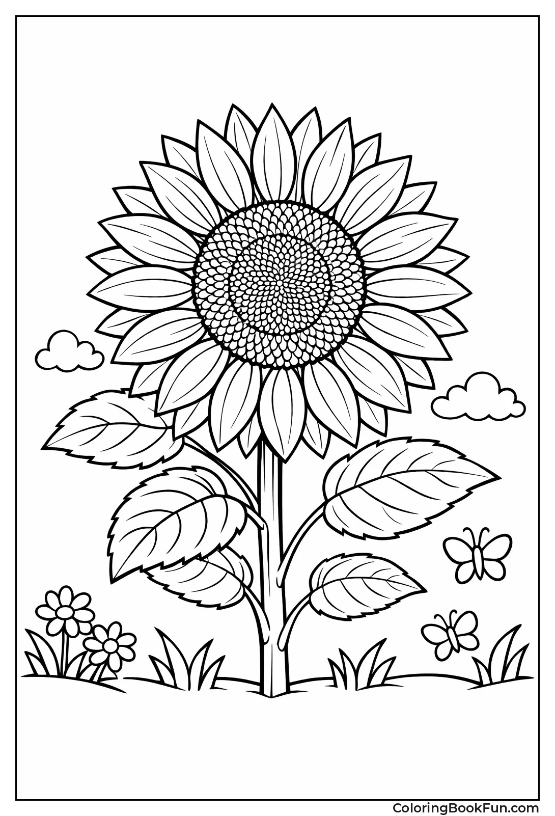 Highly Detailed Sunflower
