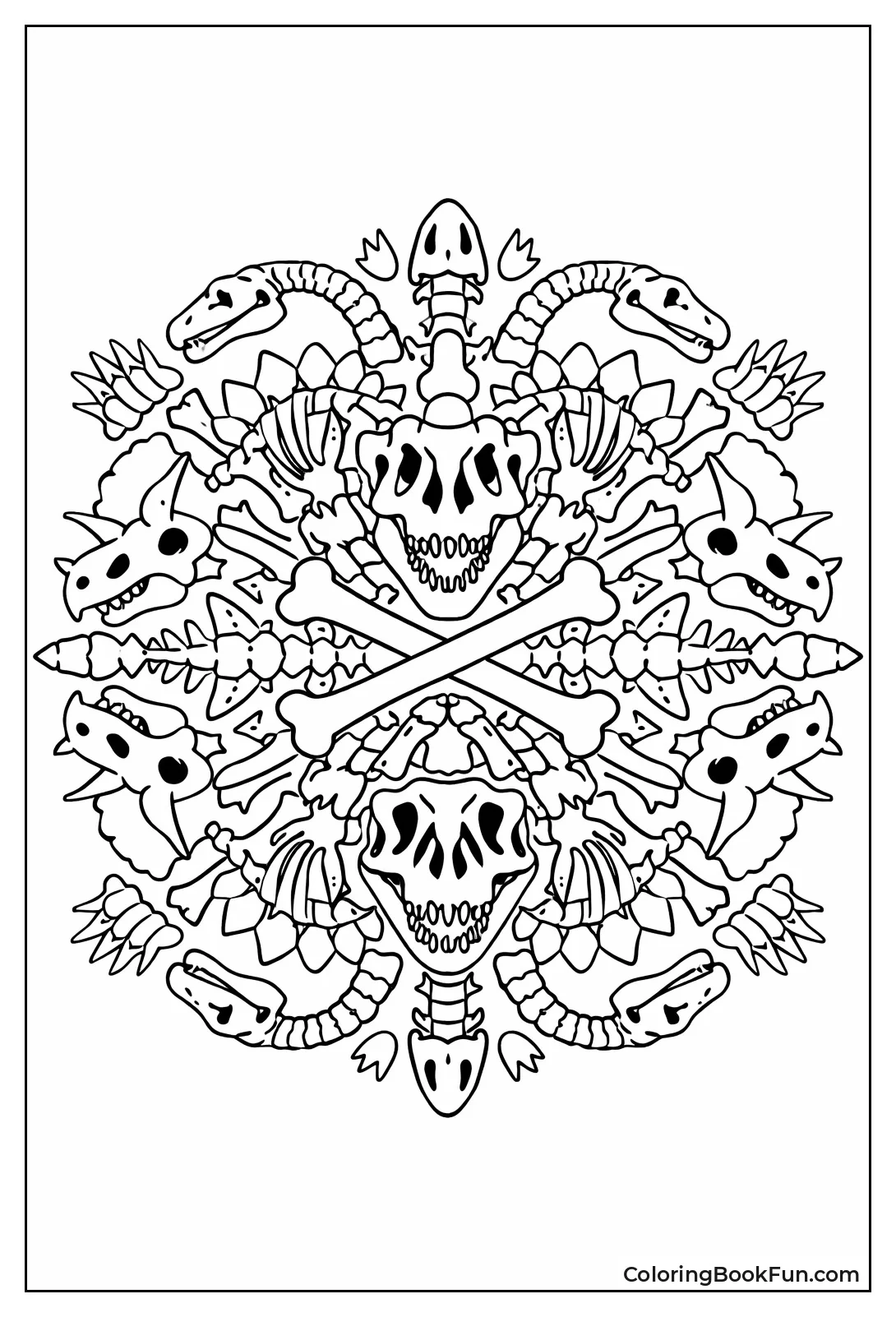 Fossil Bones Make Patterns