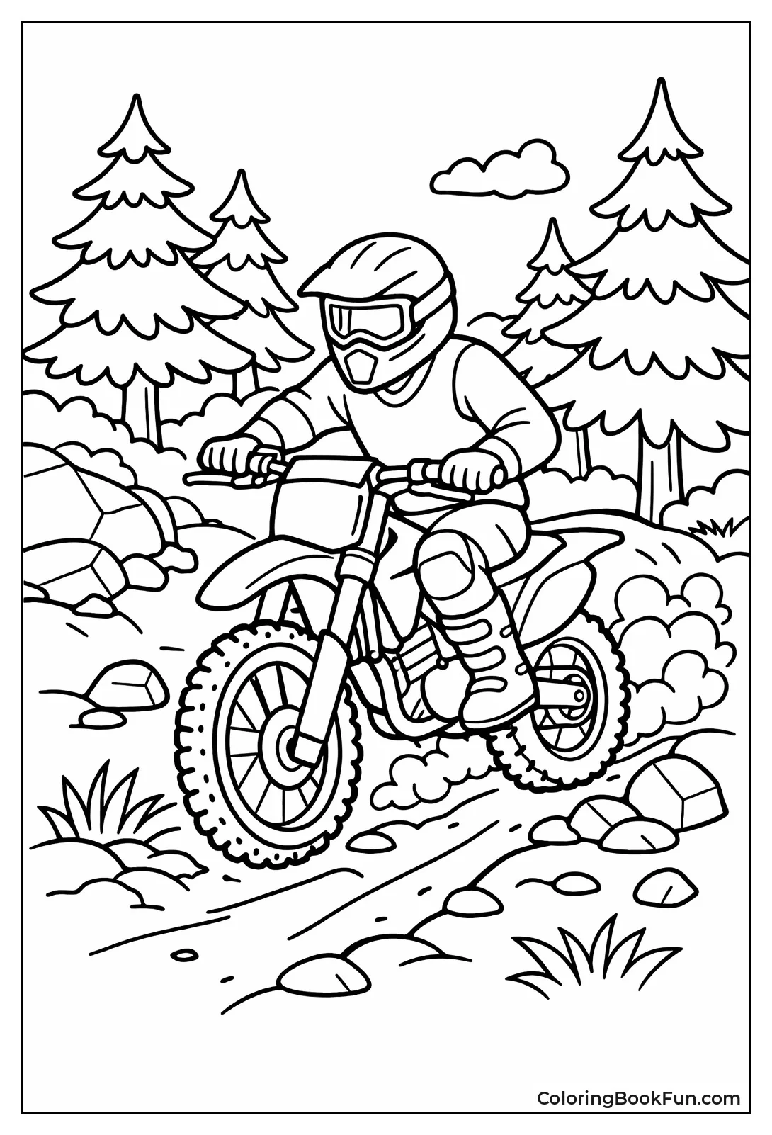 Forest Path Dirt Ride