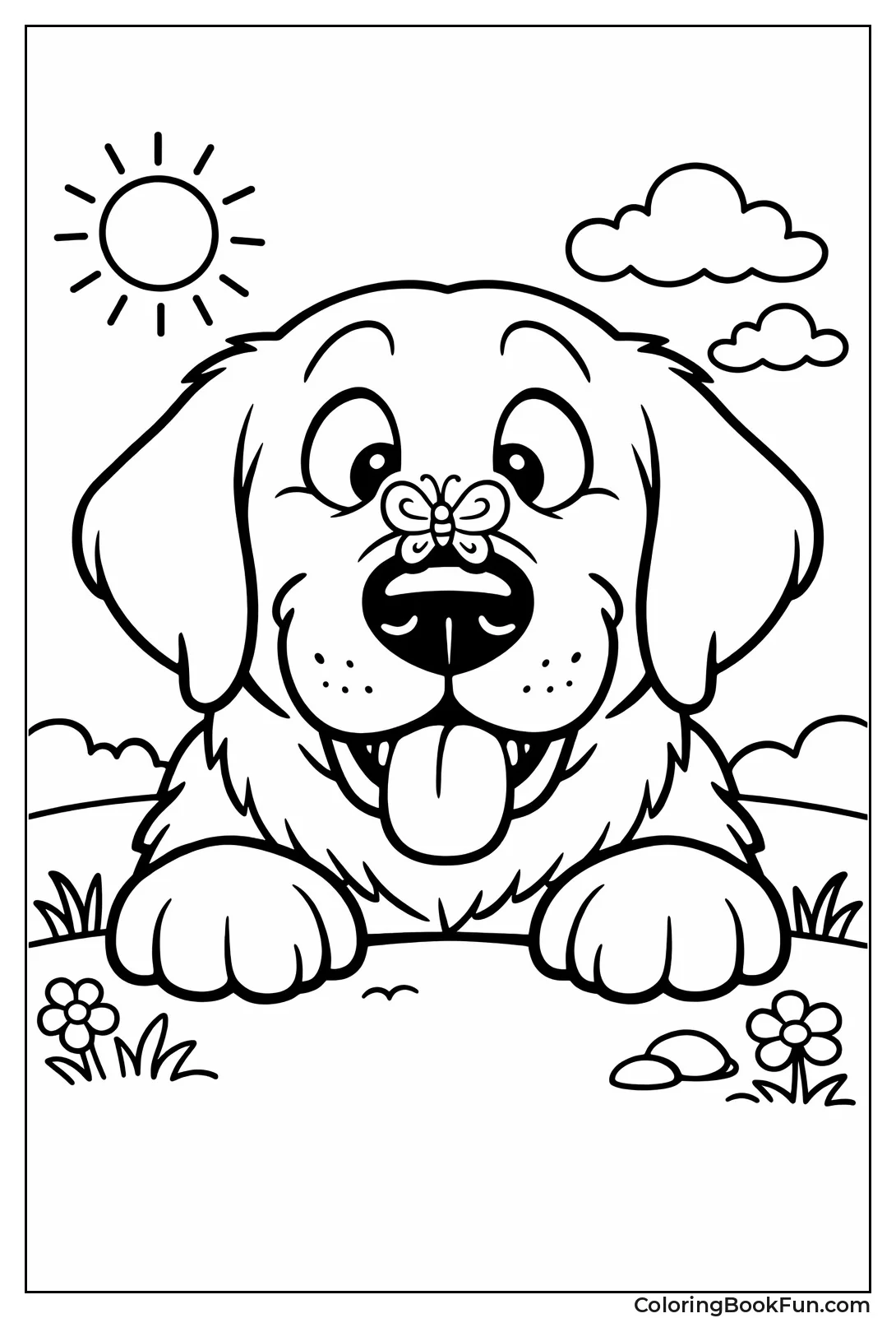 Dog Stares at Butterfly