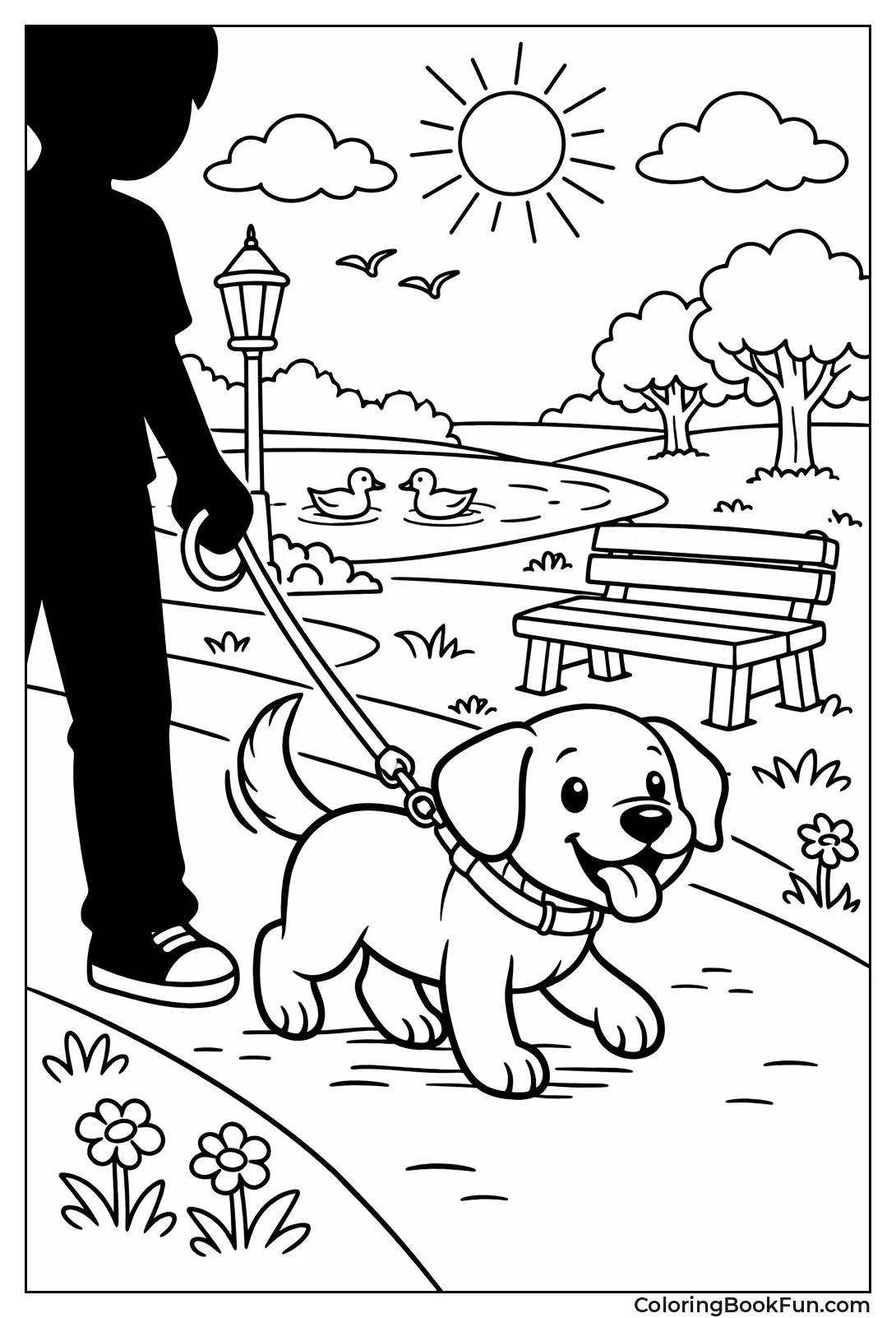 Dog Walks with Owner