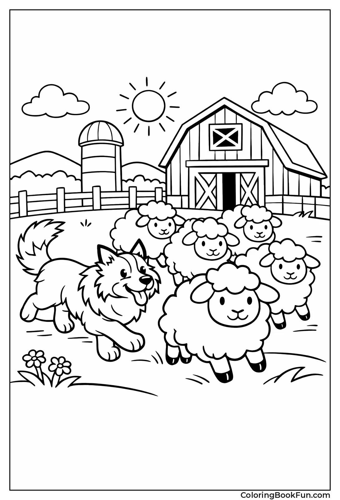 Collie Herds Farm Sheep
