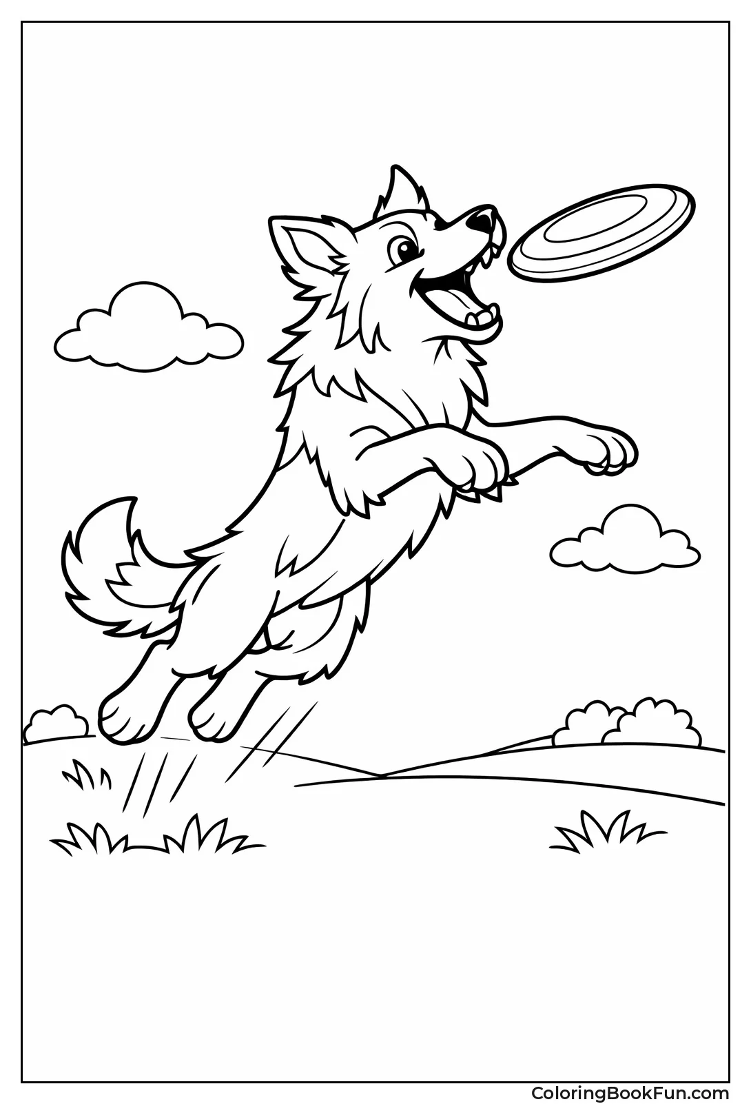 Border Collie Catches Frisbee