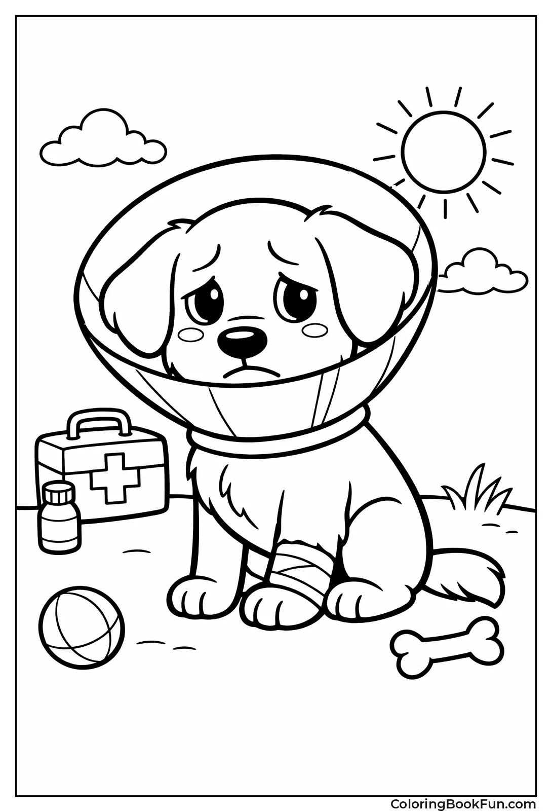 Dog Wears Cone Collar