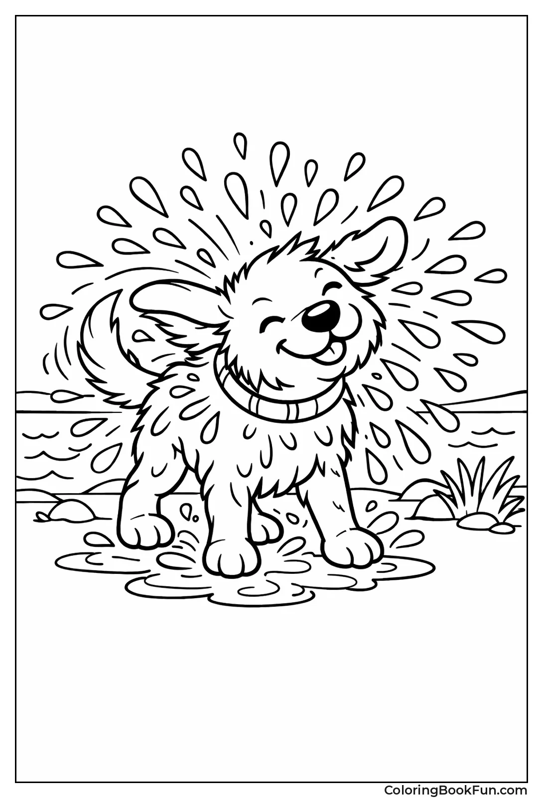 Dog Shakes Off Water