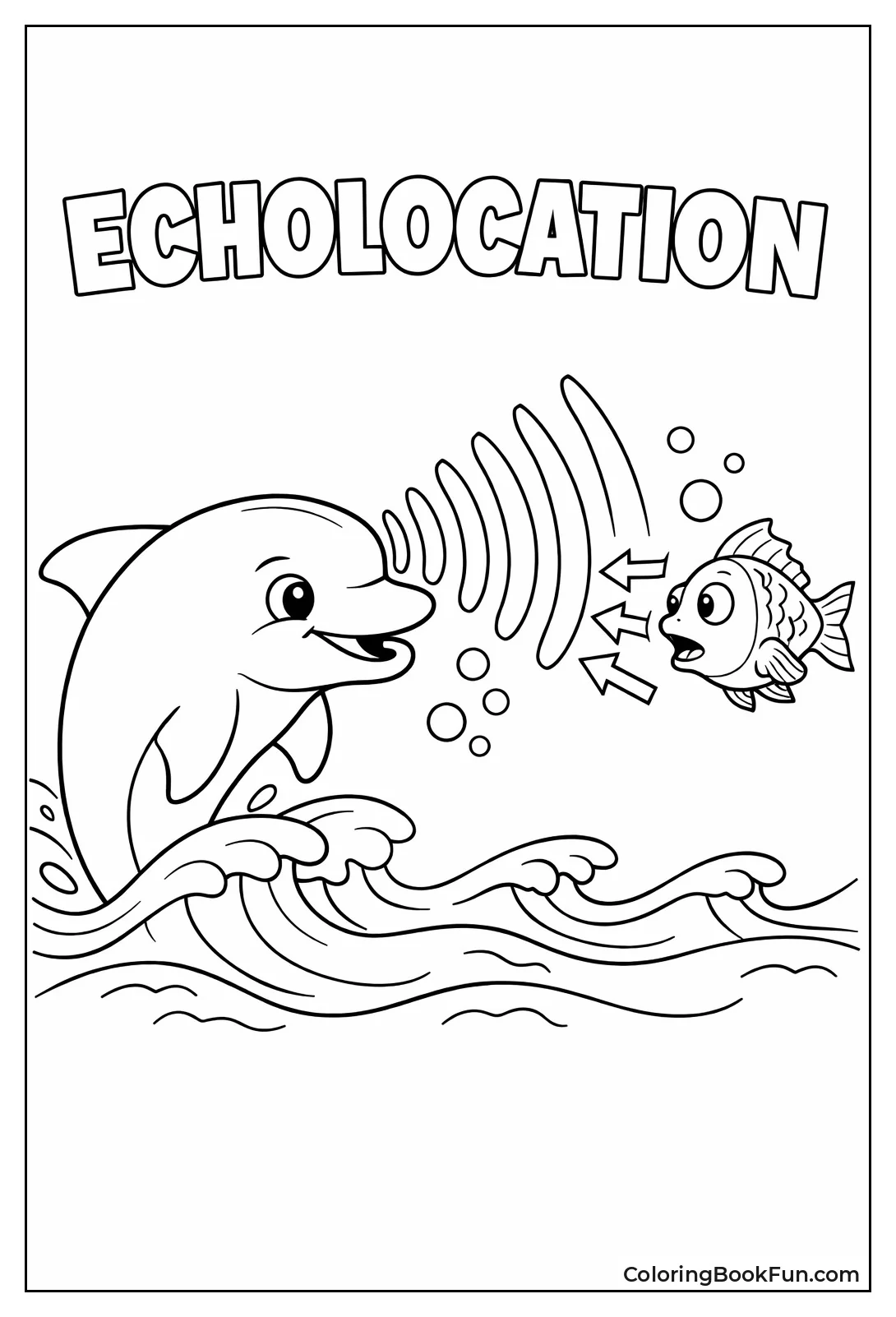 Dolphin Sending Echo Waves