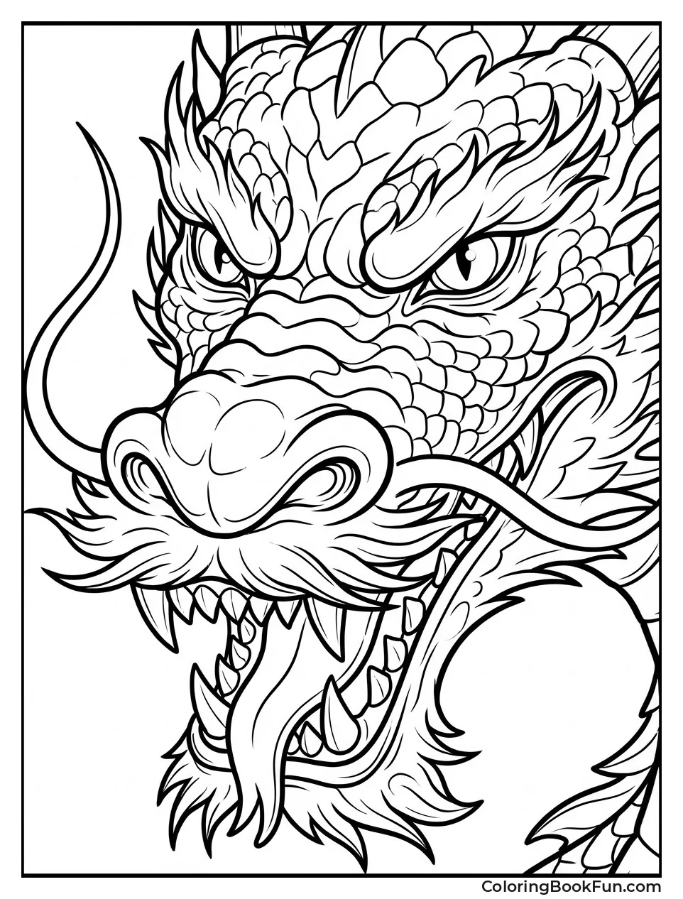 Fierce Dragon Face Closeup