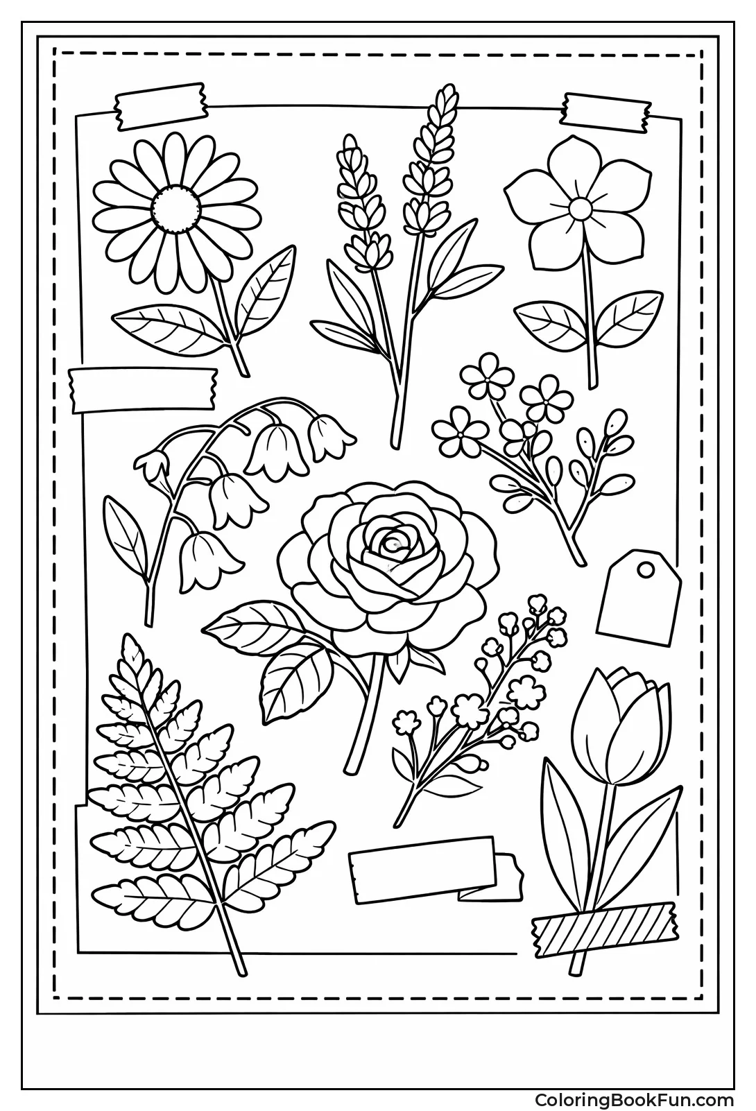 Dried Flowers in Press